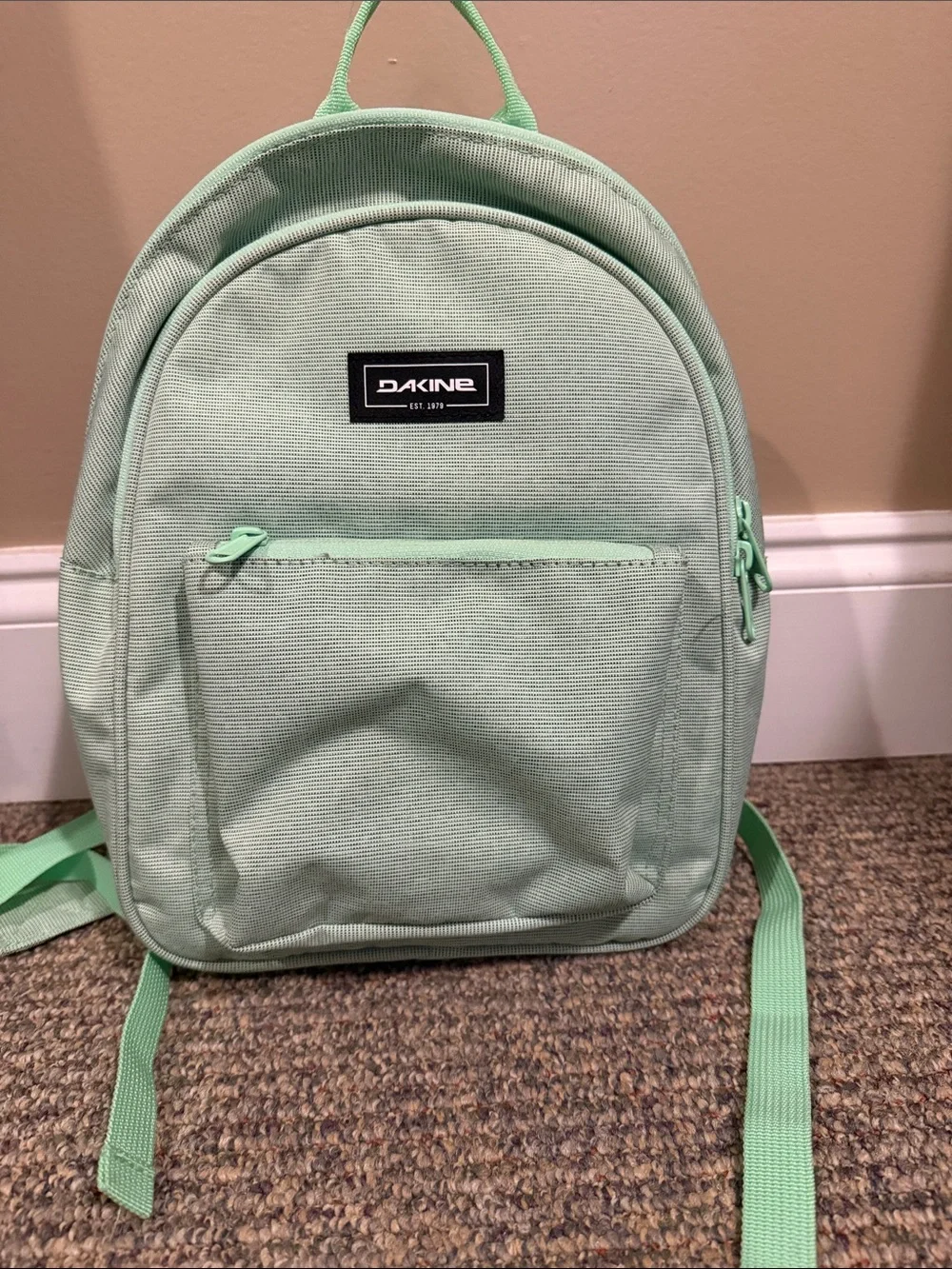 Dakine Mini Backpack in Mint